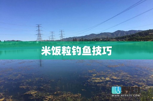 米饭粒钓鱼技巧