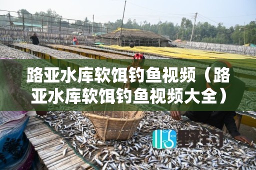 路亚水库软饵钓鱼视频（路亚水库软饵钓鱼视频大全）