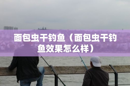 面包虫干钓鱼（面包虫干钓鱼效果怎么样）