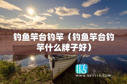 钓鱼竿台钓竿（钓鱼竿台钓竿什么牌子好）