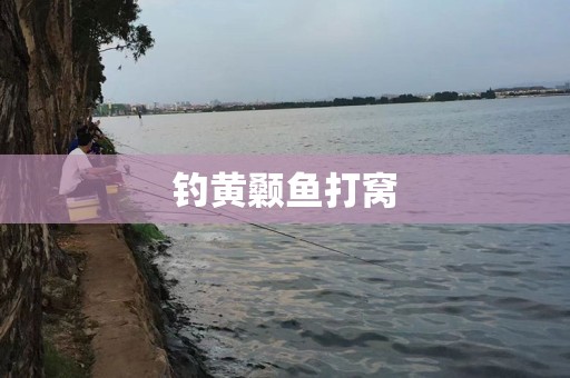 钓黄颡鱼打窝