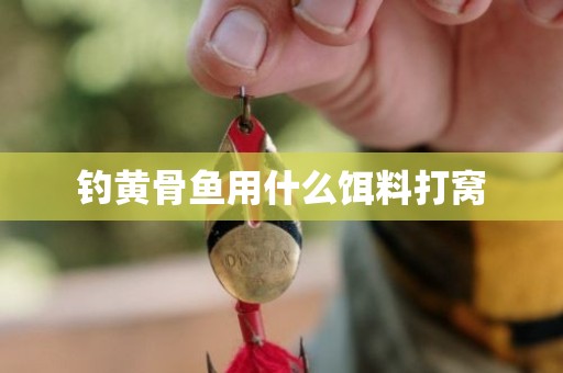 钓黄骨鱼用什么饵料打窝
