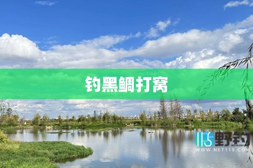 钓黑鲷打窝