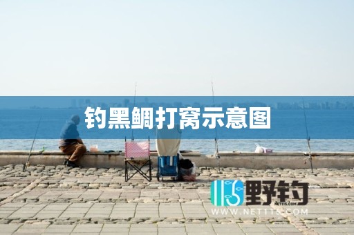 钓黑鲷打窝示意图