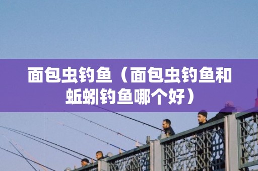 面包虫钓鱼（面包虫钓鱼和蚯蚓钓鱼哪个好）