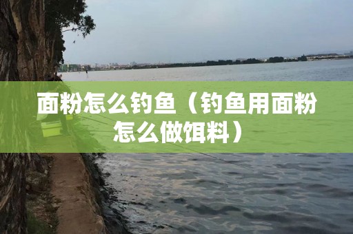面粉怎么钓鱼（钓鱼用面粉怎么做饵料）