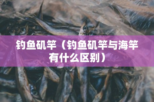 钓鱼矶竿（钓鱼矶竿与海竿有什么区别）