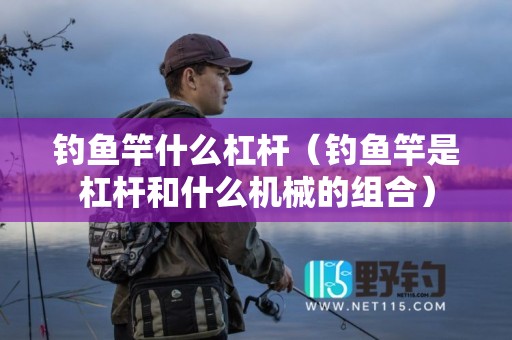 钓鱼竿什么杠杆（钓鱼竿是杠杆和什么机械的组合）