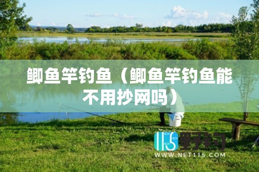 鲫鱼竿钓鱼（鲫鱼竿钓鱼能不用抄网吗）