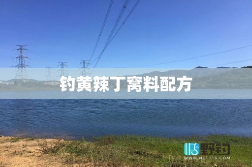 钓黄辣丁窝料配方