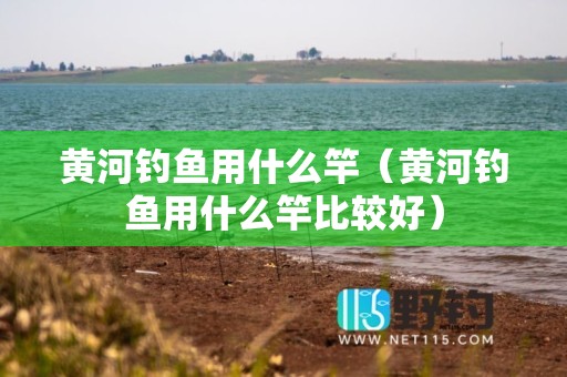 黄河钓鱼用什么竿（黄河钓鱼用什么竿比较好）