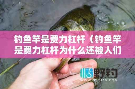 钓鱼竿是费力杠杆（钓鱼竿是费力杠杆为什么还被人们所使用）