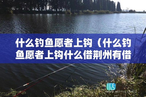 什么钓鱼愿者上钩（什么钓鱼愿者上钩什么借荆州有借无还）
