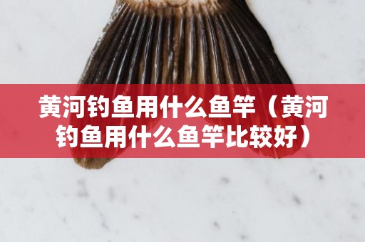 黄河钓鱼用什么鱼竿（黄河钓鱼用什么鱼竿比较好）