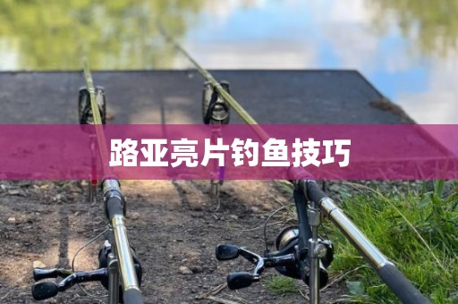 路亚亮片钓鱼技巧