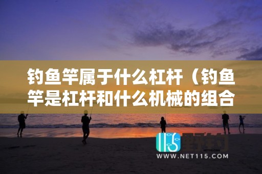 钓鱼竿属于什么杠杆（钓鱼竿是杠杆和什么机械的组合）