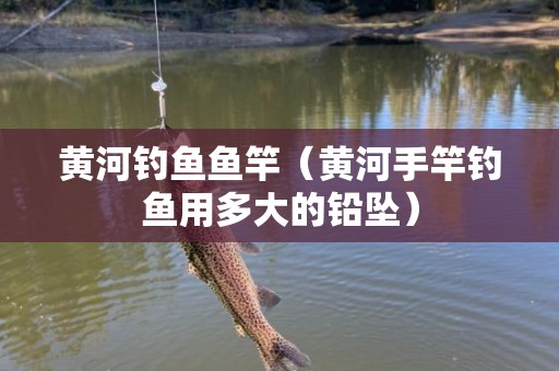 黄河钓鱼鱼竿（黄河手竿钓鱼用多大的铅坠）