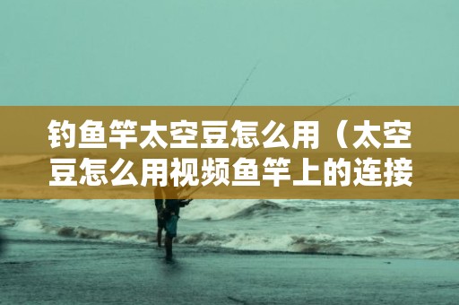 钓鱼竿太空豆怎么用（太空豆怎么用视频鱼竿上的连接器怎么用-）