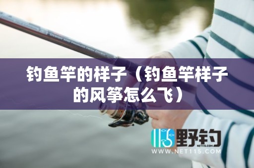 钓鱼竿的样子（钓鱼竿样子的风筝怎么飞）