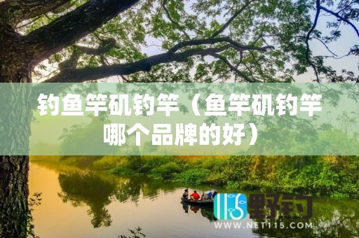 钓鱼竿矶钓竿（鱼竿矶钓竿哪个品牌的好）