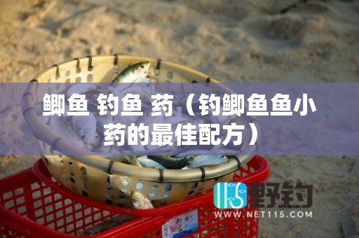 鲫鱼 钓鱼 药（钓鲫鱼鱼小药的最佳配方）