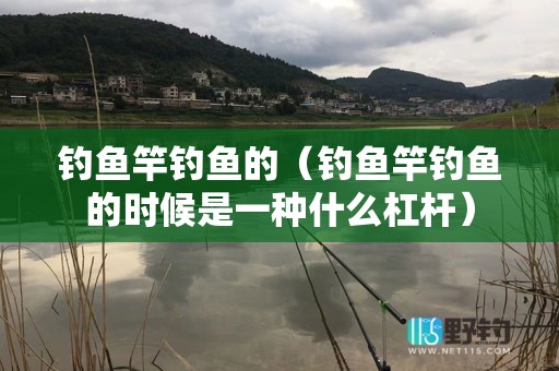 钓鱼竿钓鱼的（钓鱼竿钓鱼的时候是一种什么杠杆）
