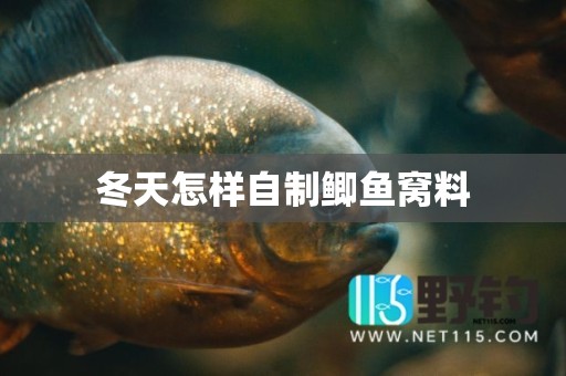冬天怎样自制鲫鱼窝料