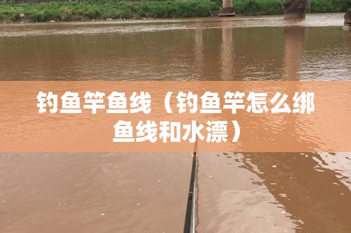 钓鱼竿鱼线（钓鱼竿怎么绑鱼线和水漂）