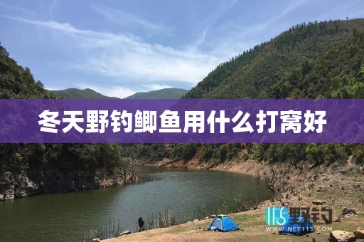 冬天野钓鲫鱼用什么打窝好