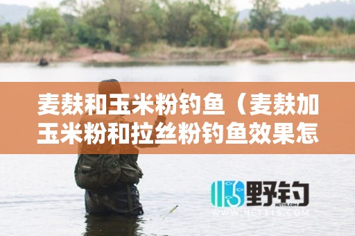 麦麸和玉米粉钓鱼（麦麸加玉米粉和拉丝粉钓鱼效果怎么样）