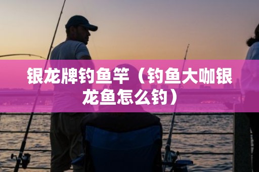银龙牌钓鱼竿（钓鱼大咖银龙鱼怎么钓）