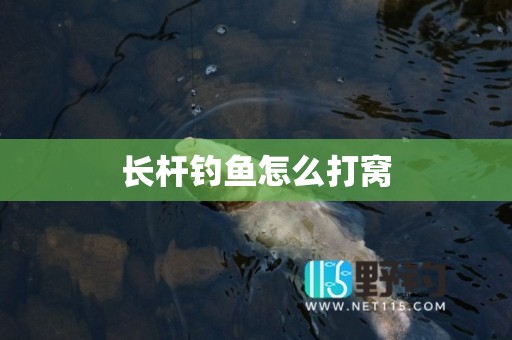 长杆钓鱼怎么打窝