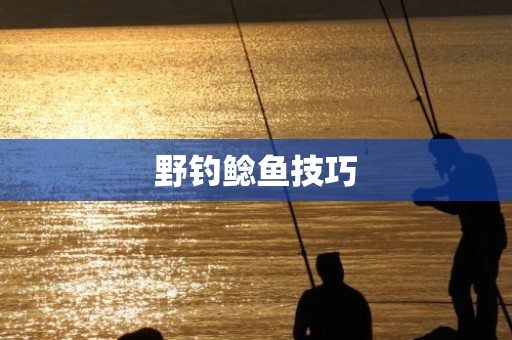 野钓鲶鱼技巧
