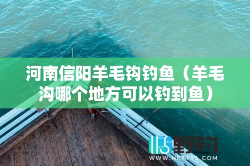 河南信阳羊毛钩钓鱼（羊毛沟哪个地方可以钓到鱼）