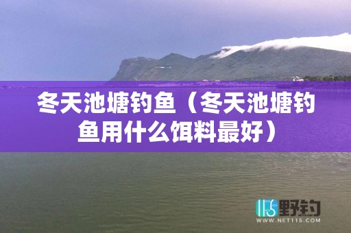 冬天池塘钓鱼（冬天池塘钓鱼用什么饵料最好）