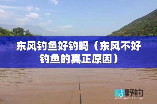 东风钓鱼好钓吗（东风不好钓鱼的真正原因）
