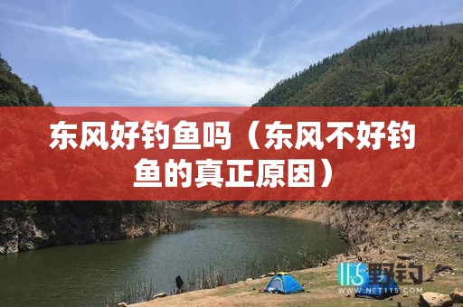 东风好钓鱼吗（东风不好钓鱼的真正原因）