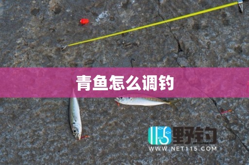 青鱼怎么调钓