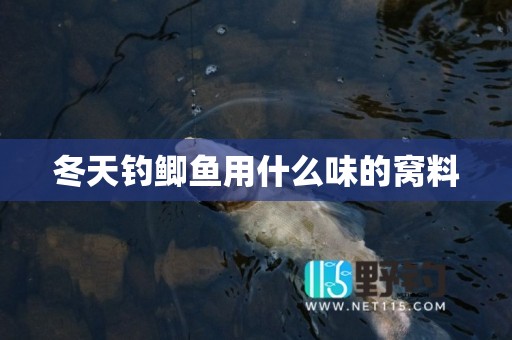 冬天钓鲫鱼用什么味的窝料