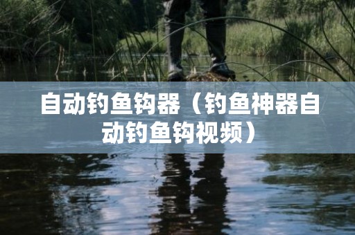 自动钓鱼钩器（钓鱼神器自动钓鱼钩视频）