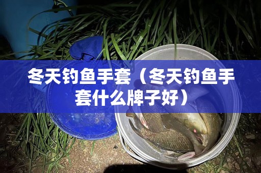 冬天钓鱼手套（冬天钓鱼手套什么牌子好）