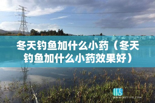 冬天钓鱼加什么小药（冬天钓鱼加什么小药效果好）