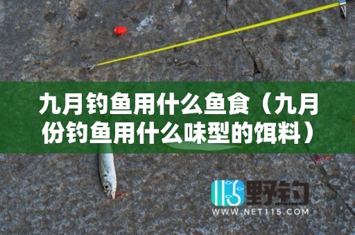 九月钓鱼用什么鱼食（九月份钓鱼用什么味型的饵料）4