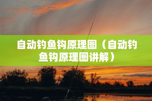 自动钓鱼钩原理图（自动钓鱼钩原理图讲解）