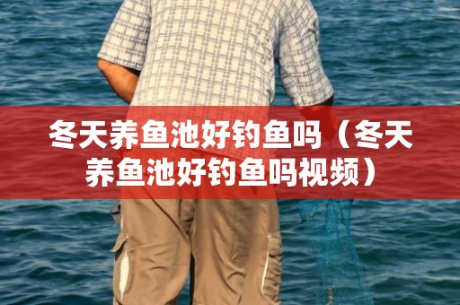 冬天养鱼池好钓鱼吗（冬天养鱼池好钓鱼吗视频）