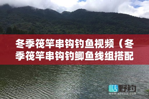 冬季筏竿串钩钓鱼视频（冬季筏竿串钩钓鲫鱼线组搭配）