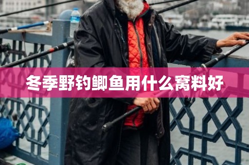 冬季野钓鲫鱼用什么窝料好