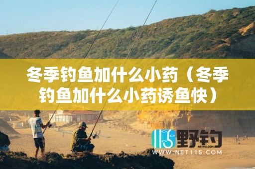 冬季钓鱼加什么小药（冬季钓鱼加什么小药诱鱼快）
