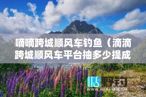 嘀嘀跨城顺风车钓鱼（滴滴跨城顺风车平台抽多少提成）