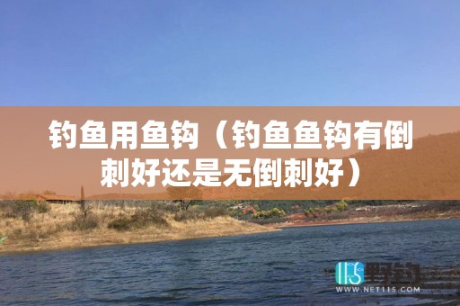 钓鱼用鱼钩（钓鱼鱼钩有倒刺好还是无倒刺好）